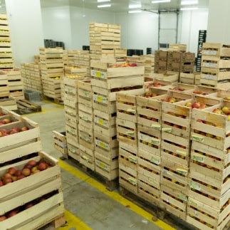 stockage fruits et legumes bio SICA BIO PAYS LANDAIS