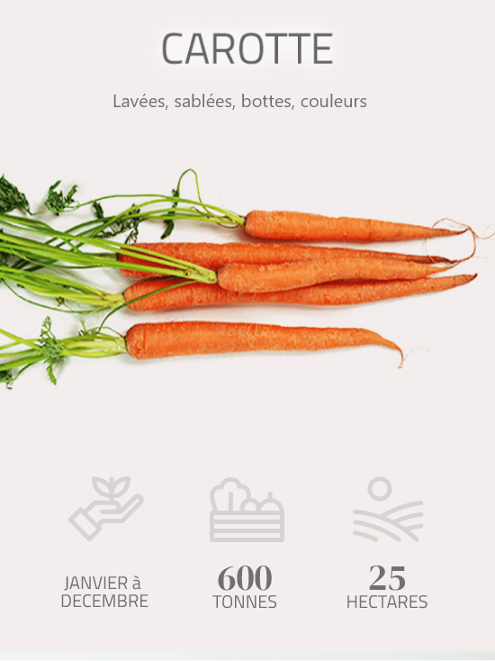 carottes des landes bio